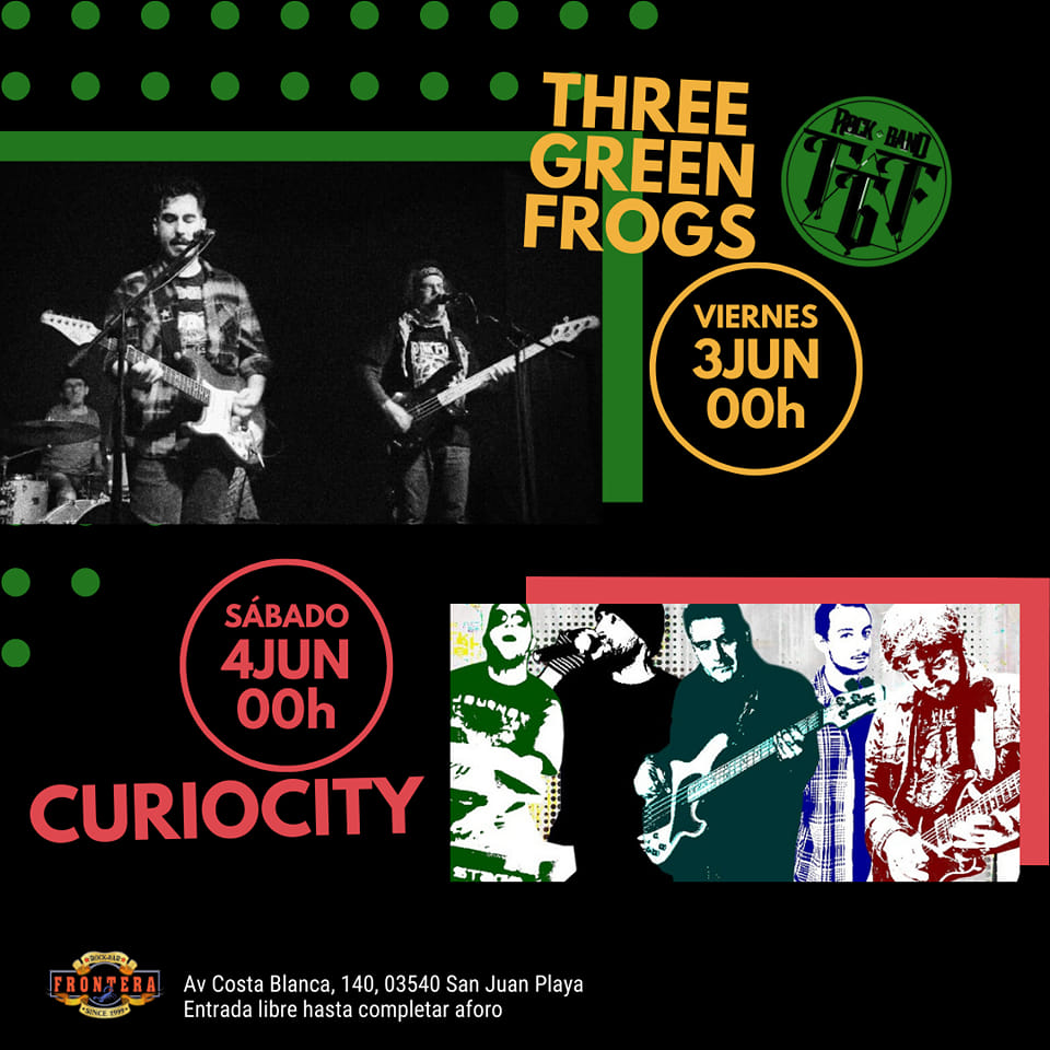Three Green Frogs & Curiocity