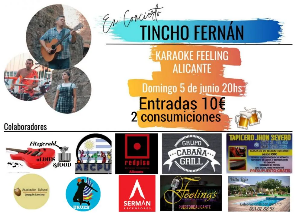 Tincho Fernán en concierto