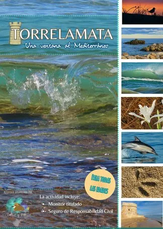 Torrelamata: Una ventana al Mediterráneo