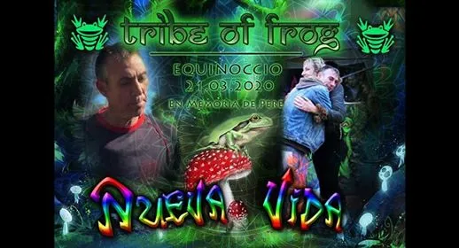 Tribe Of Frog: Nueva Vida
