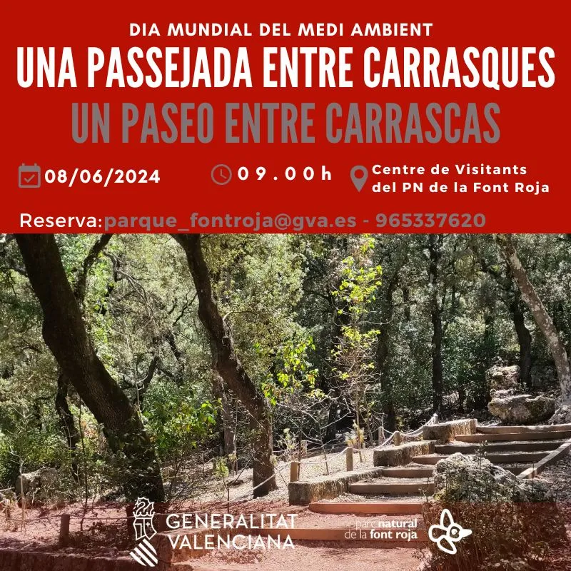 Un paseo entre carrascas