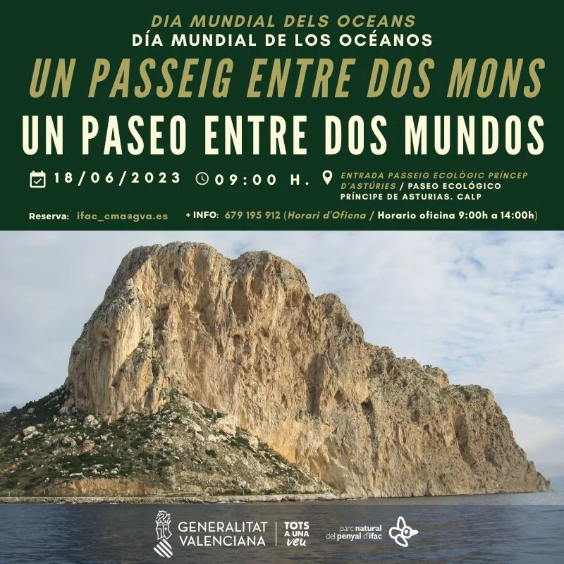 Un paseo entre dos mundos - Día mundial de los océanos