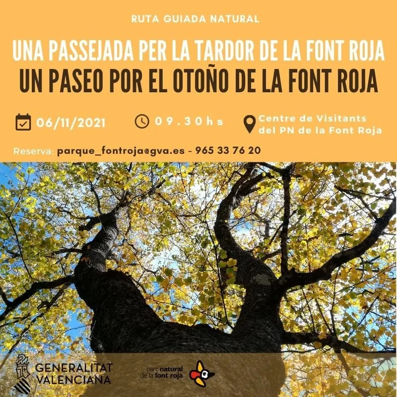 Un paseo por el Otoño de la Font Roja