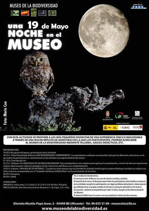 Una noche en el museo