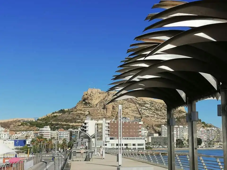 Urbanas Domingueras y Mañaneras de Alicante