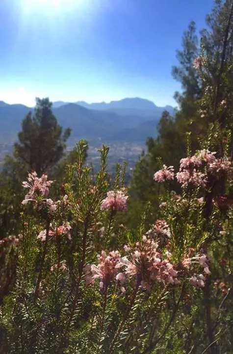 Vall de Pop-Jalon dalen