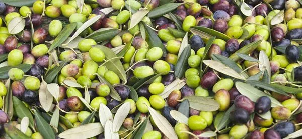 VI Aniversari del Mercat de la Foradà i IV Festa de l'Oli