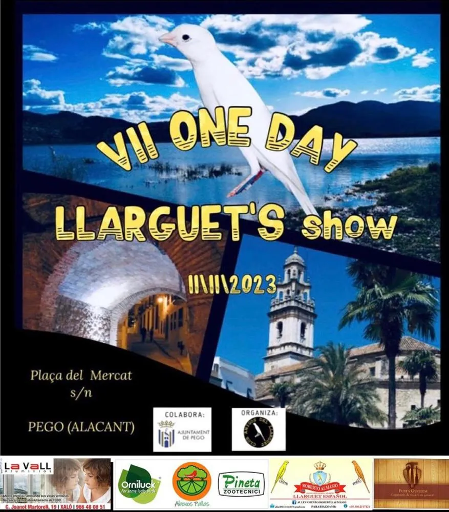 VII One Day - Llarget's show - Campeonato de canarios