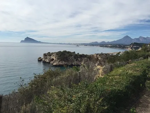 Visita Bodegas Enrique Mendoza