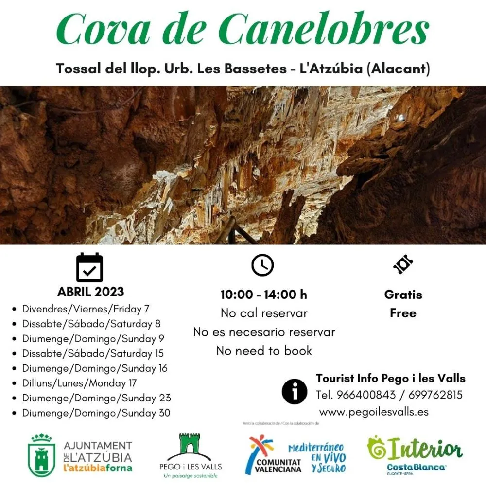 Visita guiada a la Cueva de Canelobres