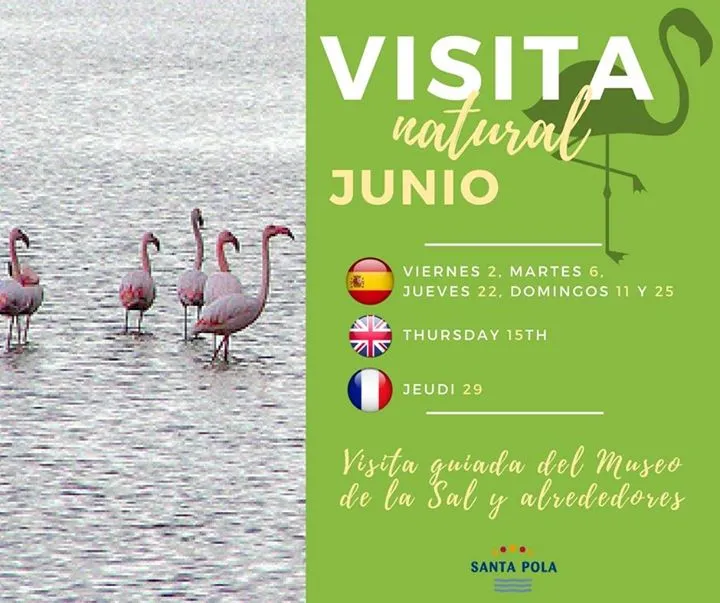 Visitas guiadas de junio en Santa Pola