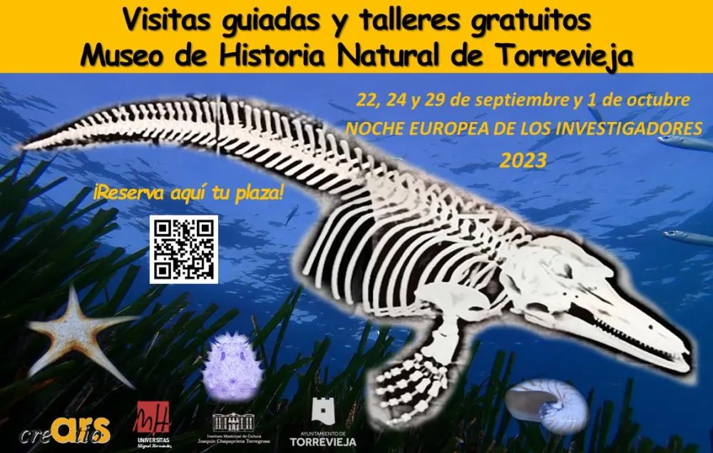 Visitas guiadas y talleres en el museo de Historia Natural de Torrevieja