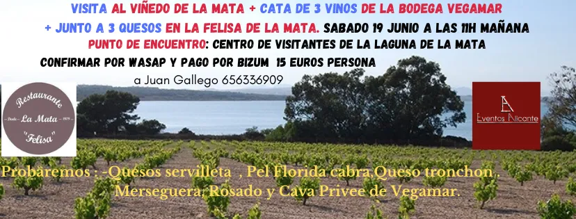 Viñedo y cata maridaje en la Mata