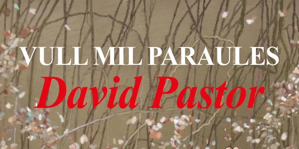 Vull Mil Paraules, de David Pastor