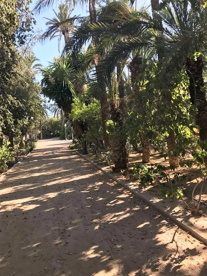 Walking with children