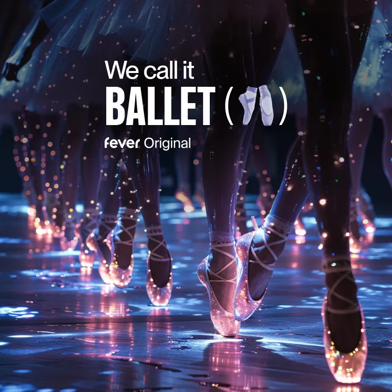 We call it Ballet: Espectáculo de Danza y Luces de La Bella Durmiente