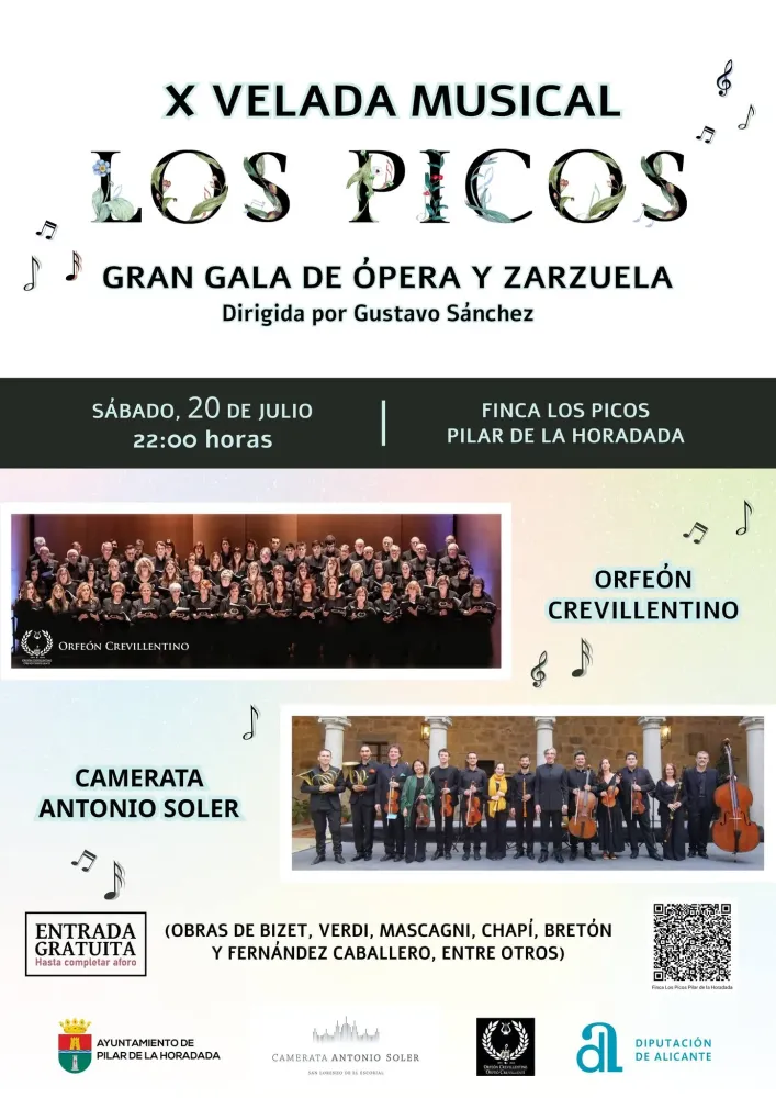 X Velada Musical los Picos
