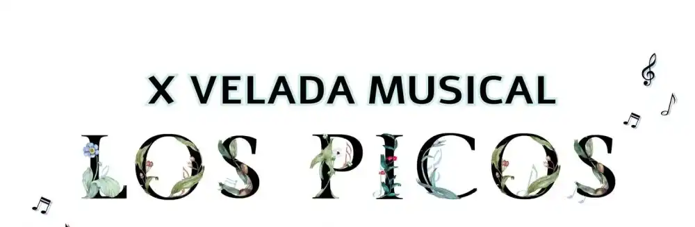 XI Velada Musical los Picos