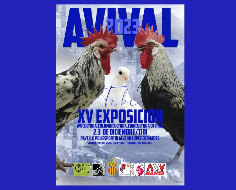 XV Exposición Avival