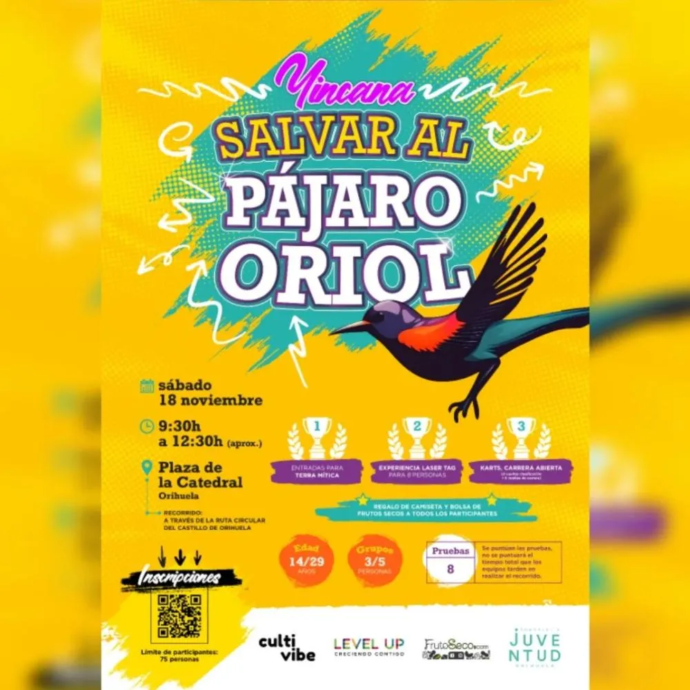 Yincana Salvar al Pájaro Oriol