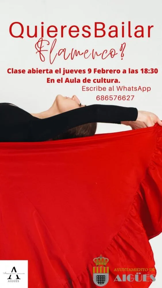 ¿Quieres bailar Flamenco?