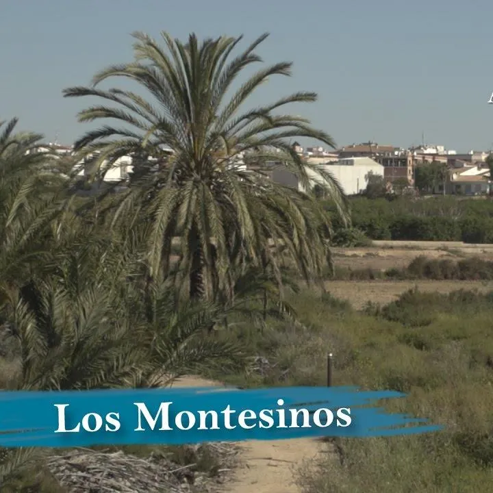 ¿Qué hacer en los Montesinos?