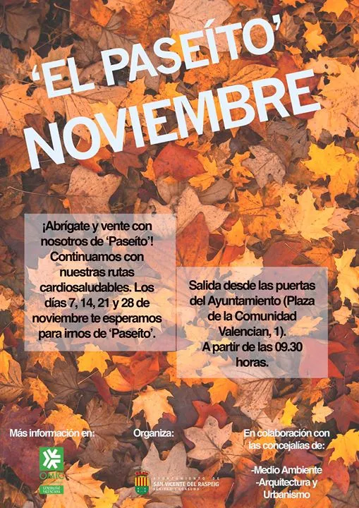 "El Paseíto" de San Vicente del Raspeig